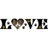 LOVE - Statement für Katzenfans