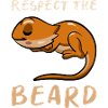 Eidechse Drache Bärtig Reptil Geschenk
