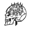 Skull and flowers
