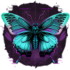 Butterfly Virtual Transformation
