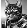 Chat en combinaison spatiale