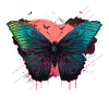 Gorgeous Glowing Butterfly