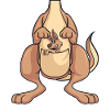 K�nguru Kost�m Australien Wallaby Kangaroo