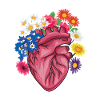 Anatomy Cardiac Cardiology Cardiac Surgery