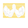 Bras de fer