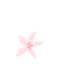 Happy mother's day