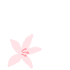 Bonne fête des mères