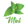 Menthe