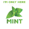Funny Mint Lover Saying