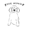 cute dog pet