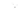 cute dog pet