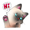 Cuddly hello cat