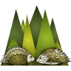Hedgehogs