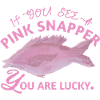 Snapper Fish - Fish Lover