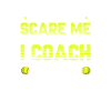 Softball Coach