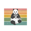 Panda Gifts Panda Lover