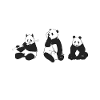 Panda Gifts Panda Lover