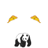 Panda Gifts Panda Lover