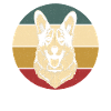 Welsh Corgi