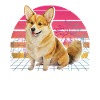 Welsh Corgi