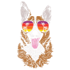 Welsh Corgi