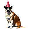 Happy Birthday Dog