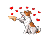 Wirehaired Fox Terrier Dog