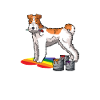 Wirehaired Fox Terrier Dog