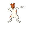 Smoothhair Fox Terrier Dog
