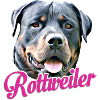 Rotweiler