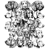 VzZP Version 1