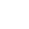 The last engine fans