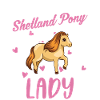 Shetland Pony Mrs. Shetty