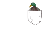 Enten in Brusttasche Entenzüchter