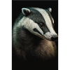 Dachs tier realistic