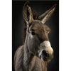 Donkey Realistic Cool