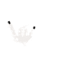 C’est mon premier concert 48