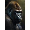 Gorilla Monkey Cool