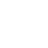 Mannheim City Logo Fans