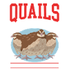 Quail Quail Breeder Quail Keeping Gift