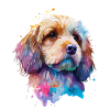 Cockapoo für Hundeliebhaber Spoodle