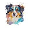 Australian Shepherd Dogs Mistress Master