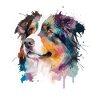 Australian Shepherd Dogs Mistress Master