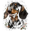 Dachshund Dog And Flowers