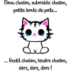Doux chaton