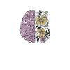 Awareness of mental health