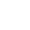 Sheriff Policeman