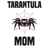 Tarentule Arachnide de compagnie