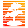 Bonsai Trees