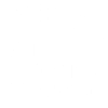 rugby, rugby sport, rugby fan